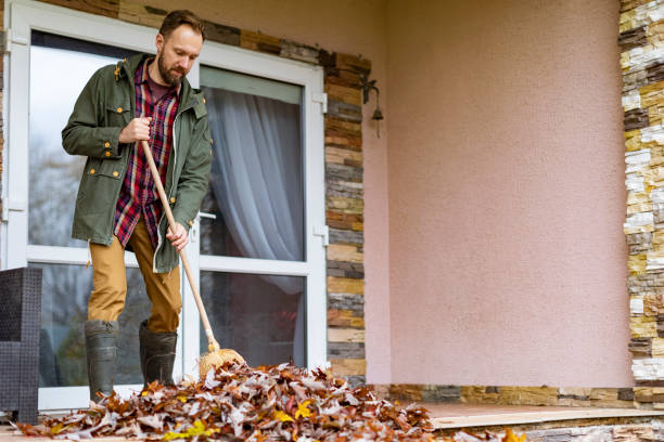 Best Basement Cleanout Services  in Northville, MI